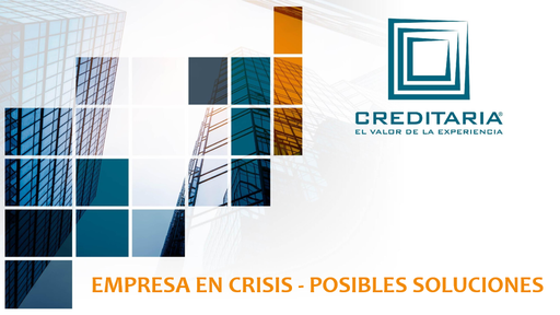 Empresa en Crisis. Posibles Soluciones